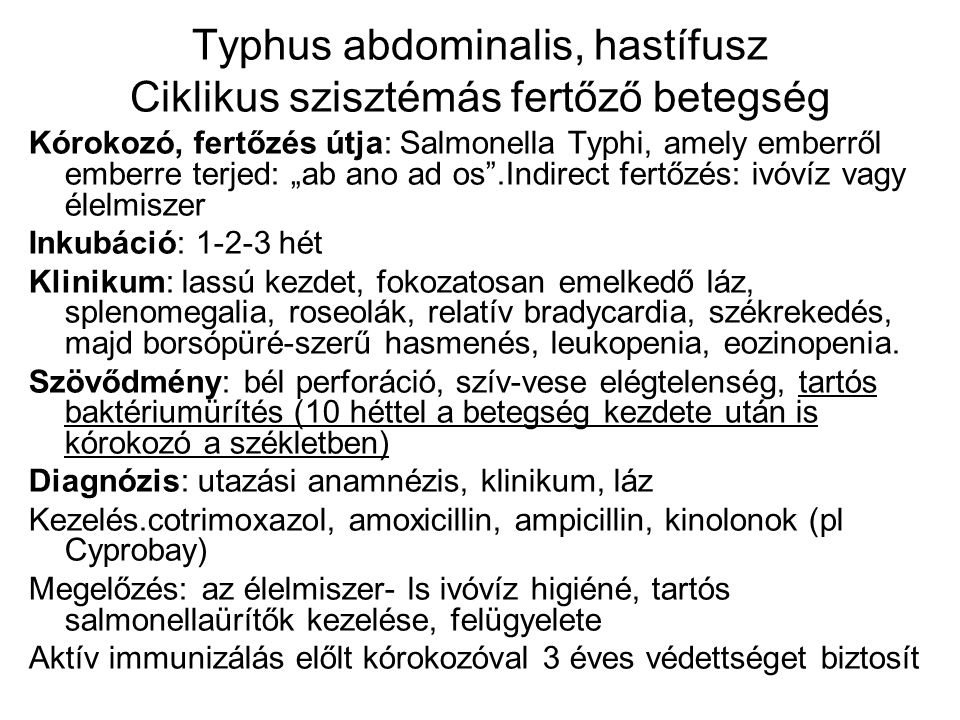 Typhus abdominalis, hastífusz Ciklikus szisztémás fertőző betegség