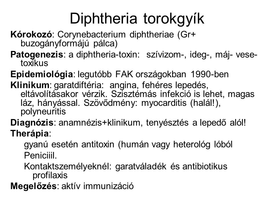 Diphtheria torokgyík Kórokozó: Corynebacterium diphtheriae (Gr+ buzogányformájú pálca)