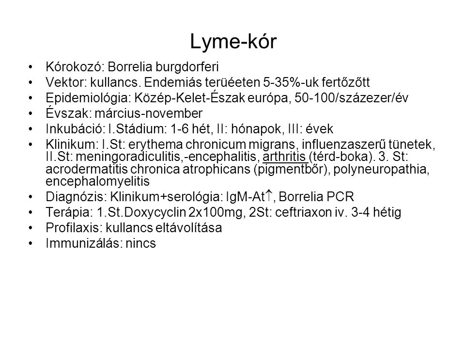 Lyme-kór Kórokozó: Borrelia burgdorferi