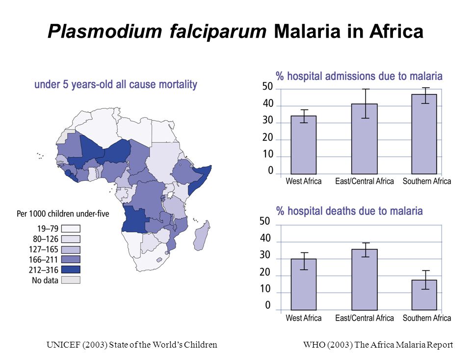 Plasmodium falciparum Malaria in Africa