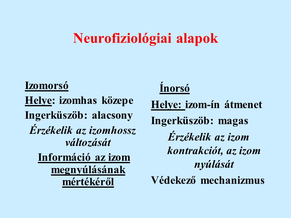 Neurofiziológiai alapok