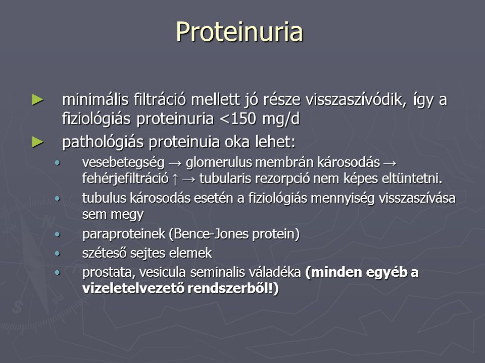 Proteinuria minimális filtráció mellett jó része visszaszívódik, így a fiziológiás proteinuria <150 mg/d.