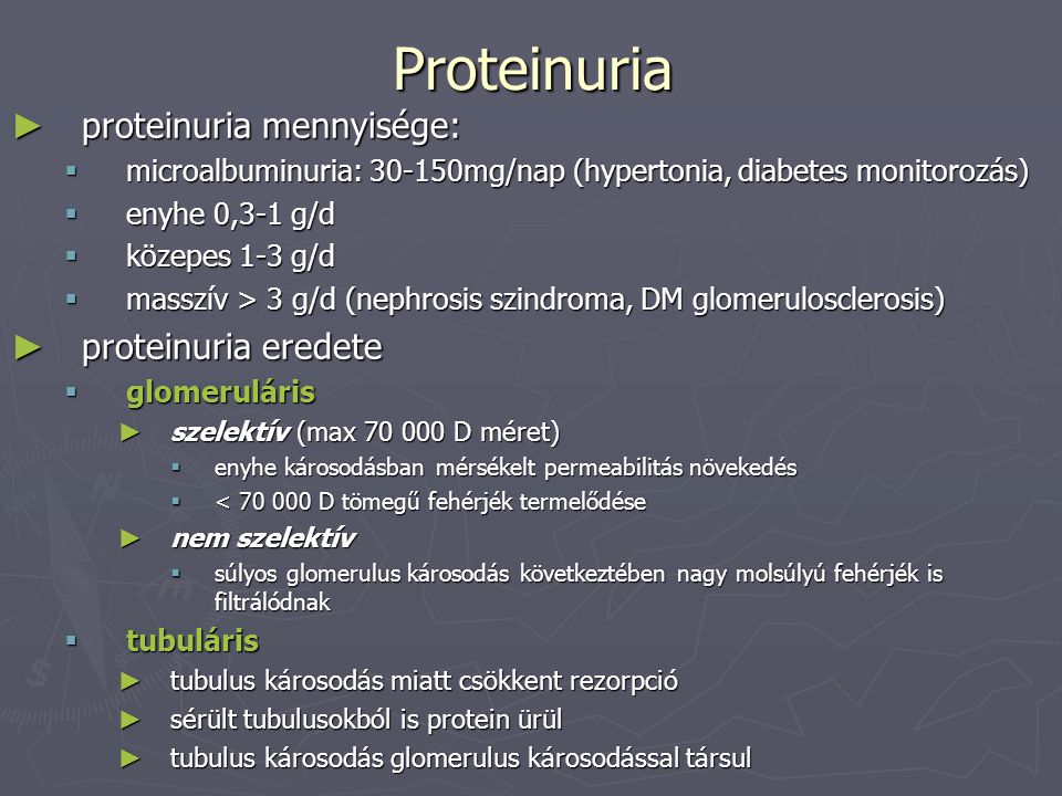 Proteinuria proteinuria mennyisége: proteinuria eredete