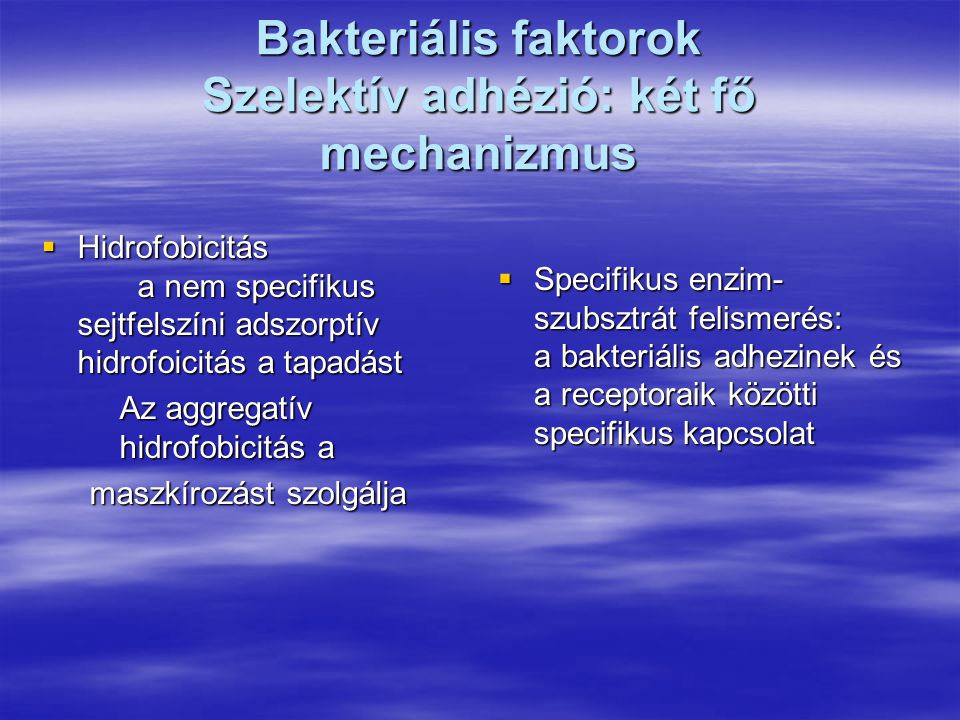 Bakteriális faktorok Szelektív adhézió: két fő mechanizmus