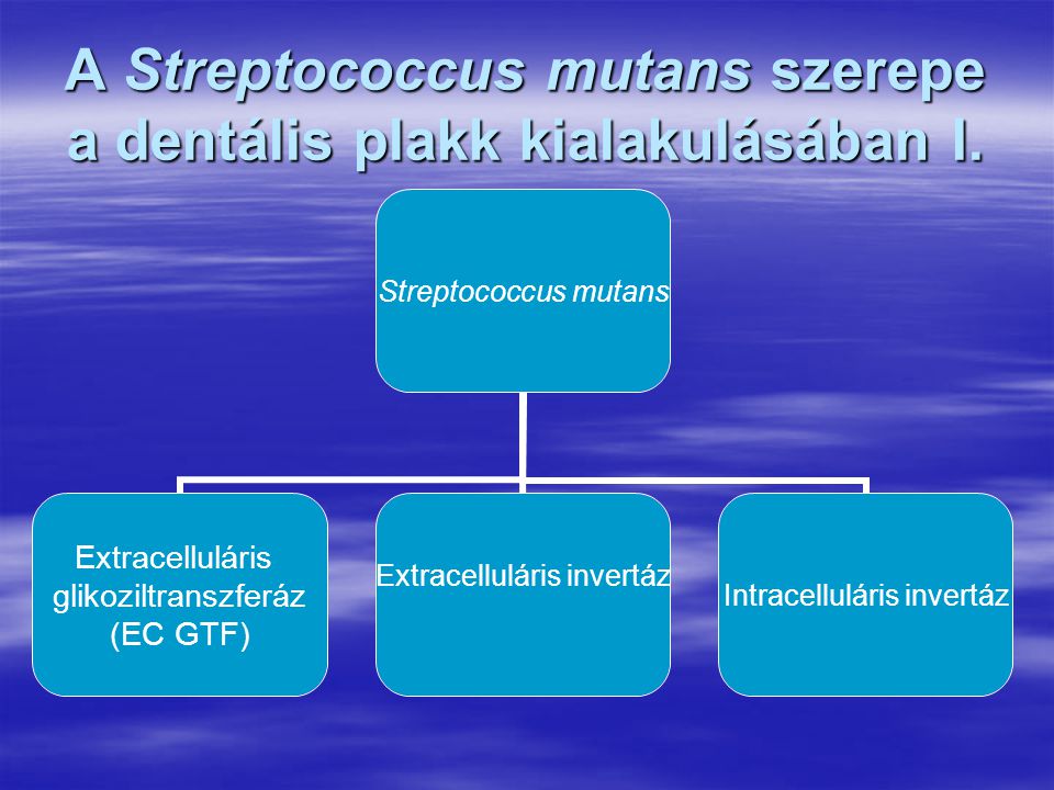 A Streptococcus mutans szerepe a dentális plakk kialakulásában I.
