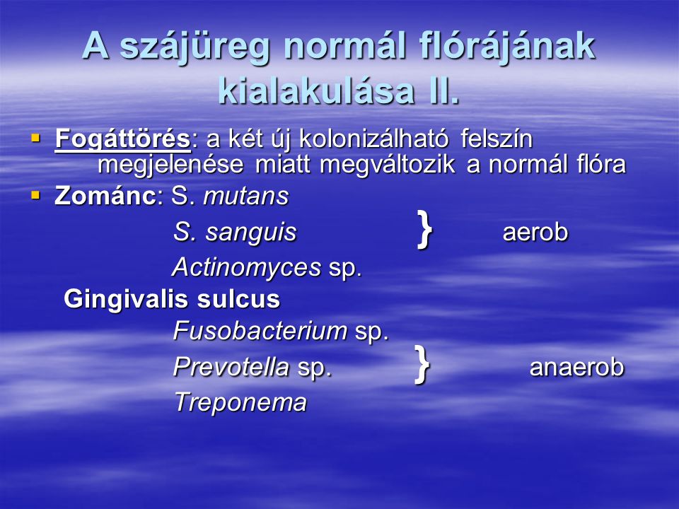 A szájüreg normál flórájának kialakulása II.