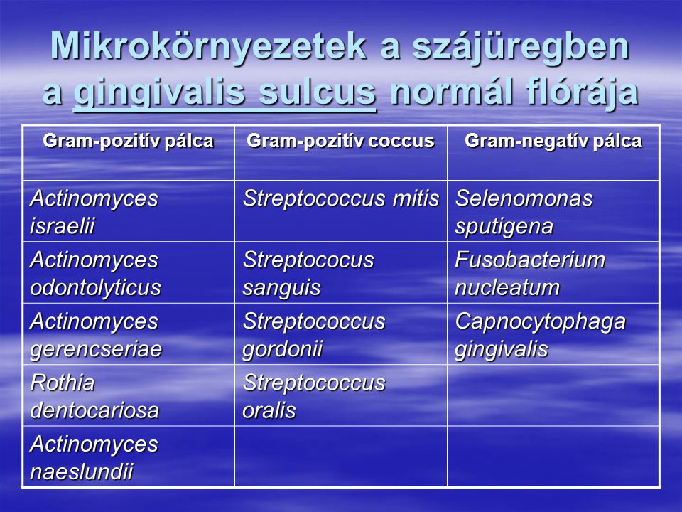 Mikrokörnyezetek a szájüregben a gingivalis sulcus normál flórája