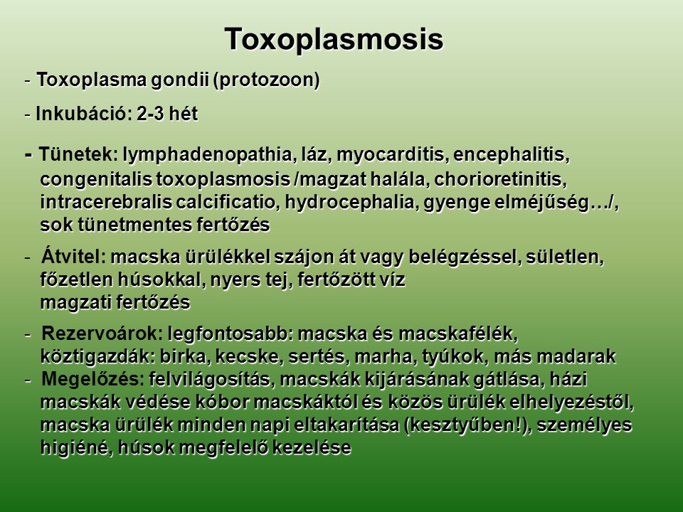 Toxoplazma segédanyagok