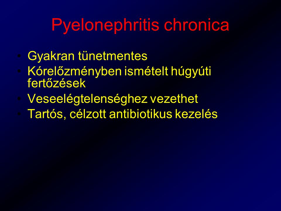 Pyelonephritis chronica