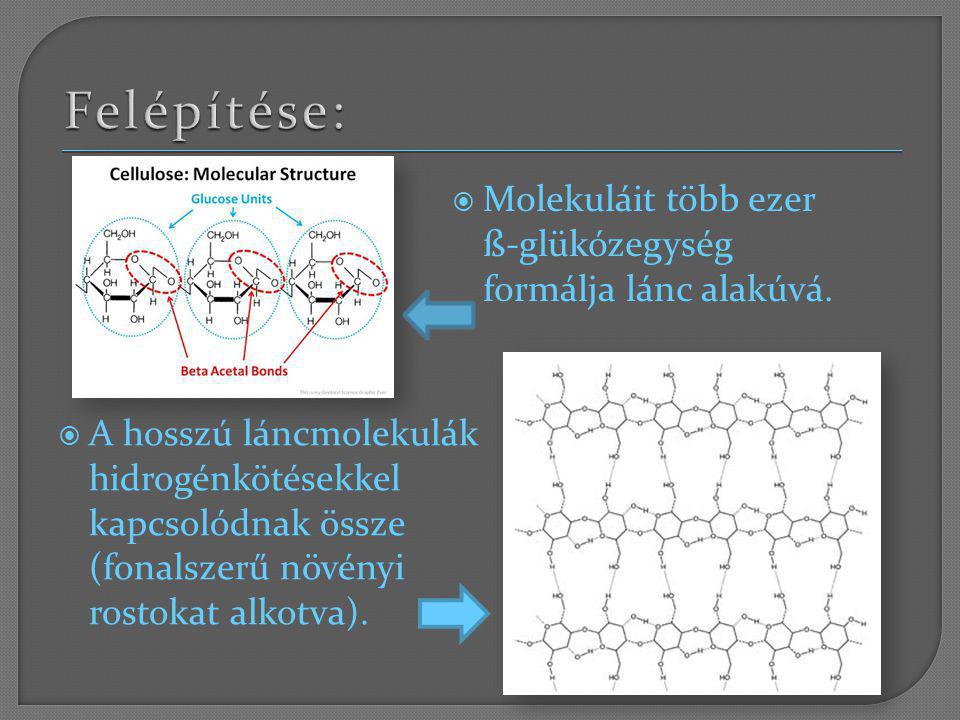 Felépítése: Molekuláit több ezer ß-glükózegység formálja lánc alakúvá.