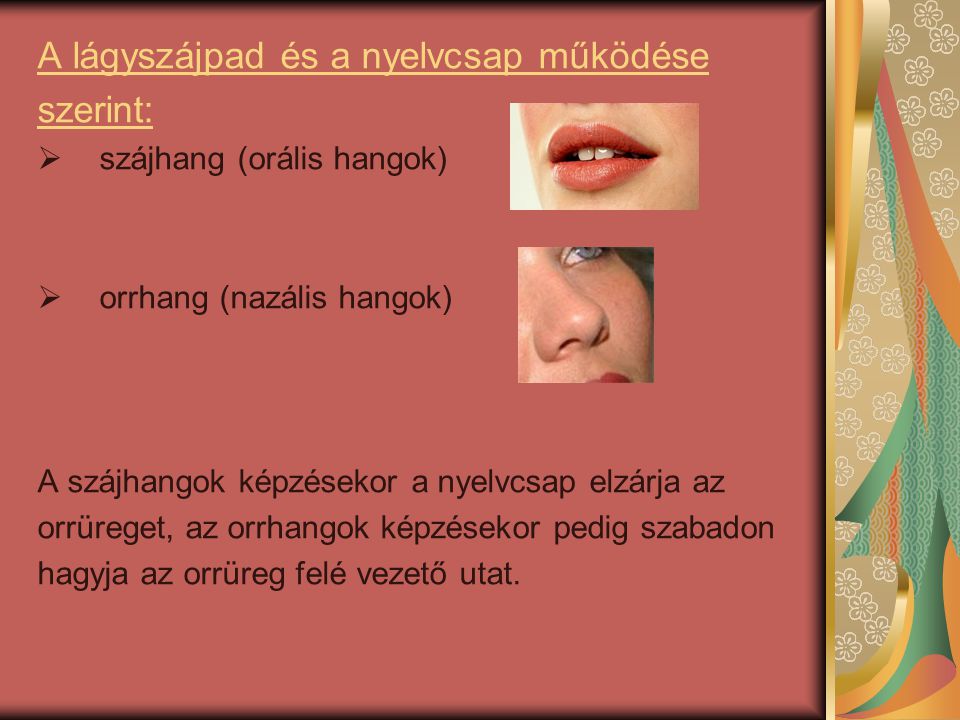 A lágyszájpad és a nyelvcsap működése szerint: