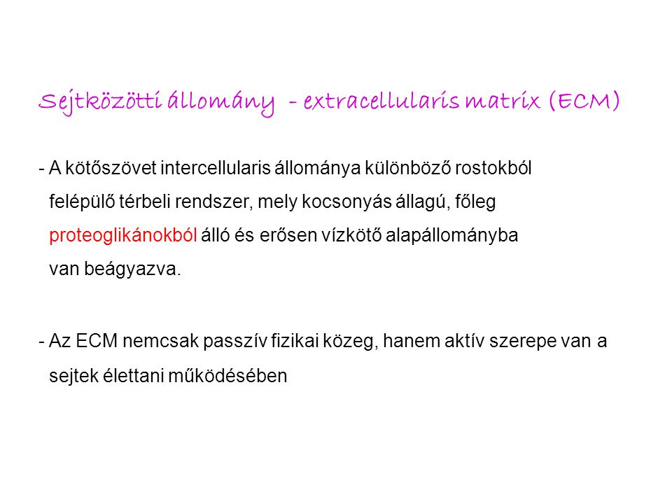 Sejtközötti állomány - extracellularis matrix (ECM)