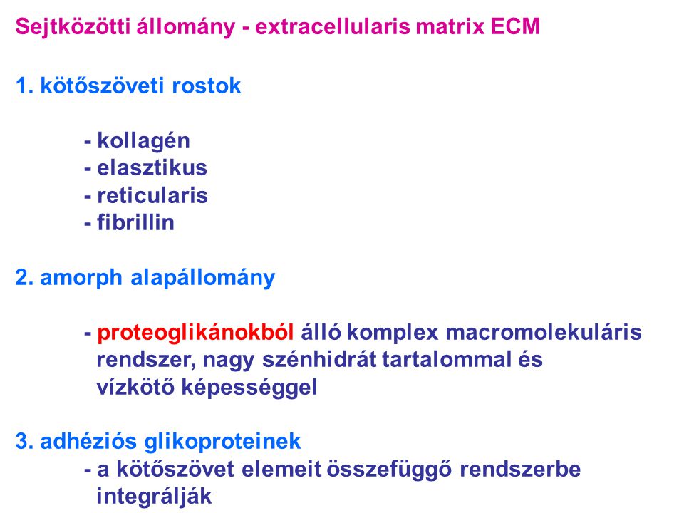 Sejtközötti állomány - extracellularis matrix ECM