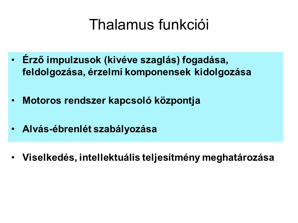Thalamus funkciói Érző impulzusok (kivéve szaglás) fogadása, feldolgozása, érzelmi komponensek kidolgozása.