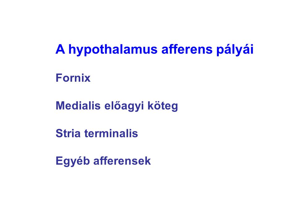 A hypothalamus afferens pályái
