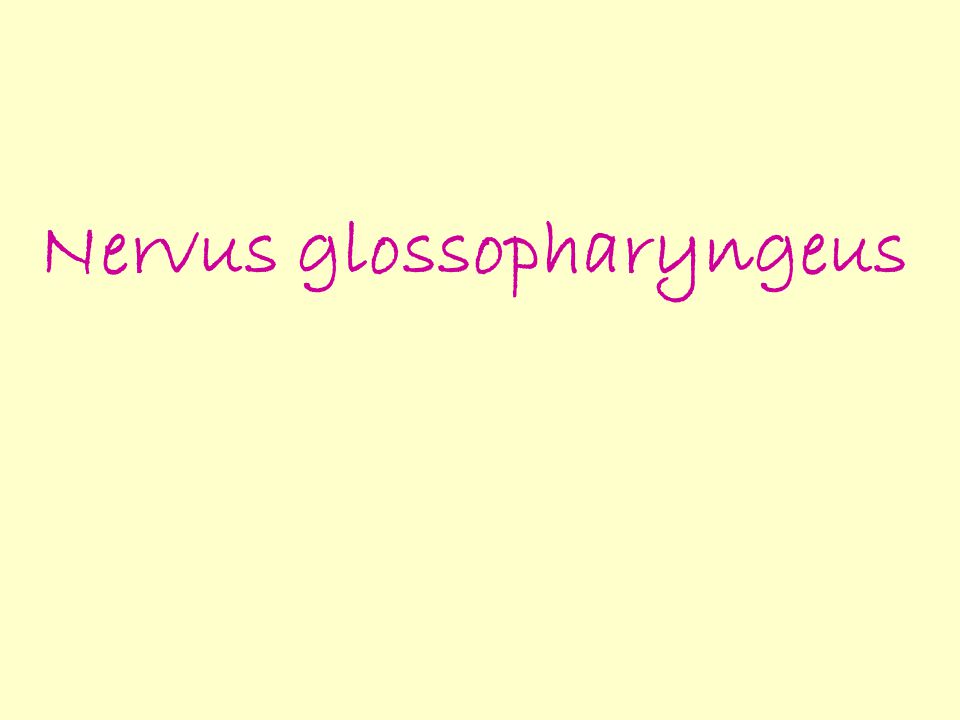 Nervus glossopharyngeus