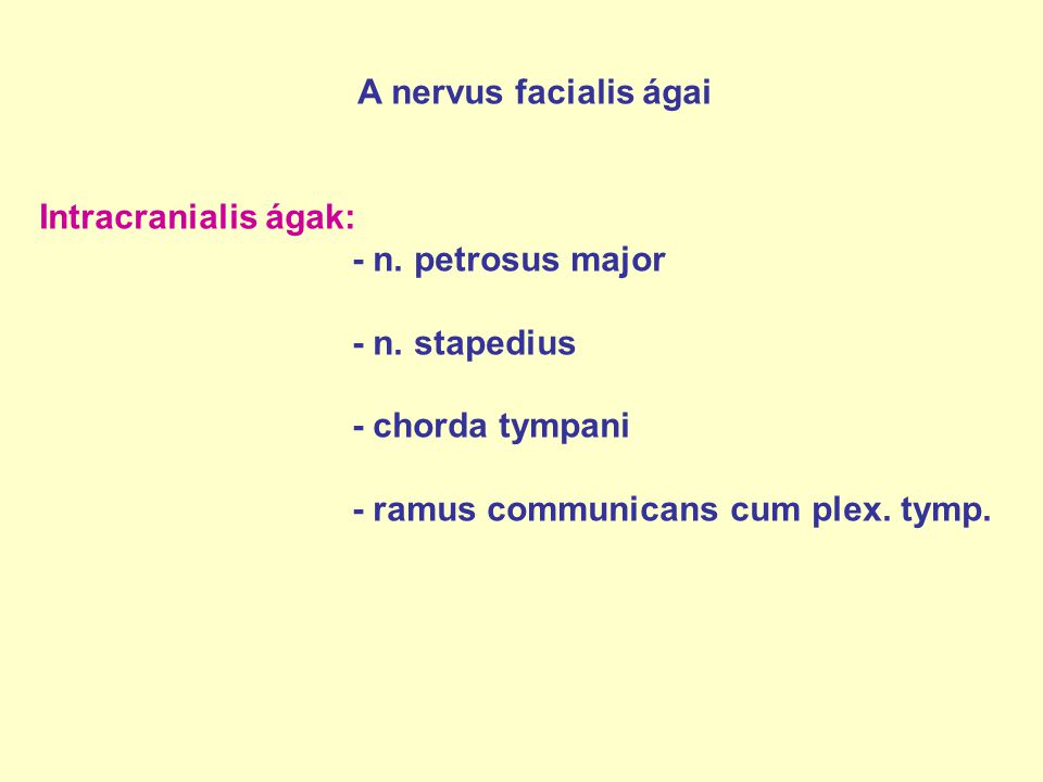 A nervus facialis ágai Intracranialis ágak: - n. petrosus major. - n. stapedius. - chorda tympani.