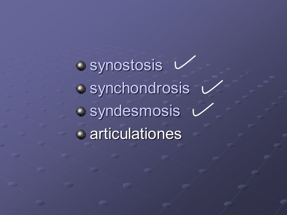 synostosis synchondrosis syndesmosis articulationes