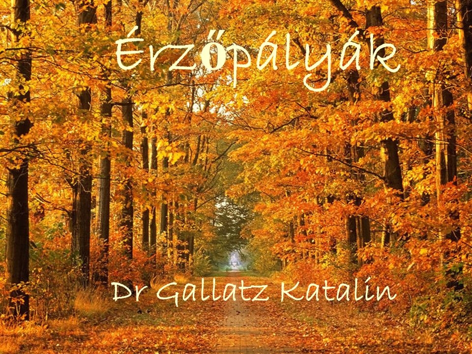 Érzőpályák Dr Gallatz Katalin