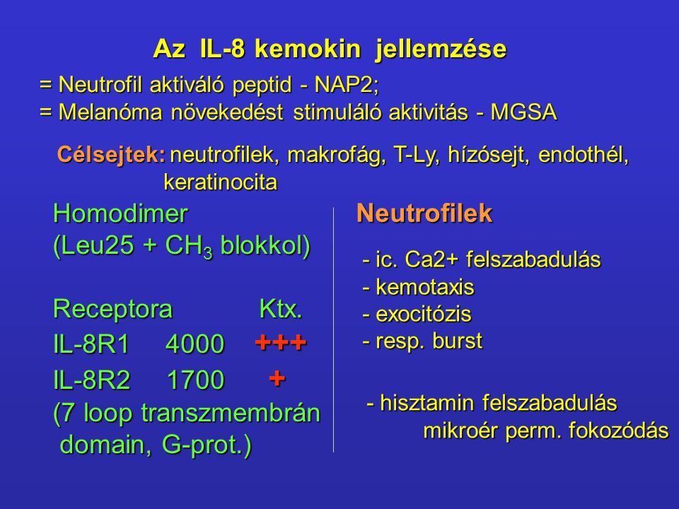 Az IL-8 kemokin jellemzése