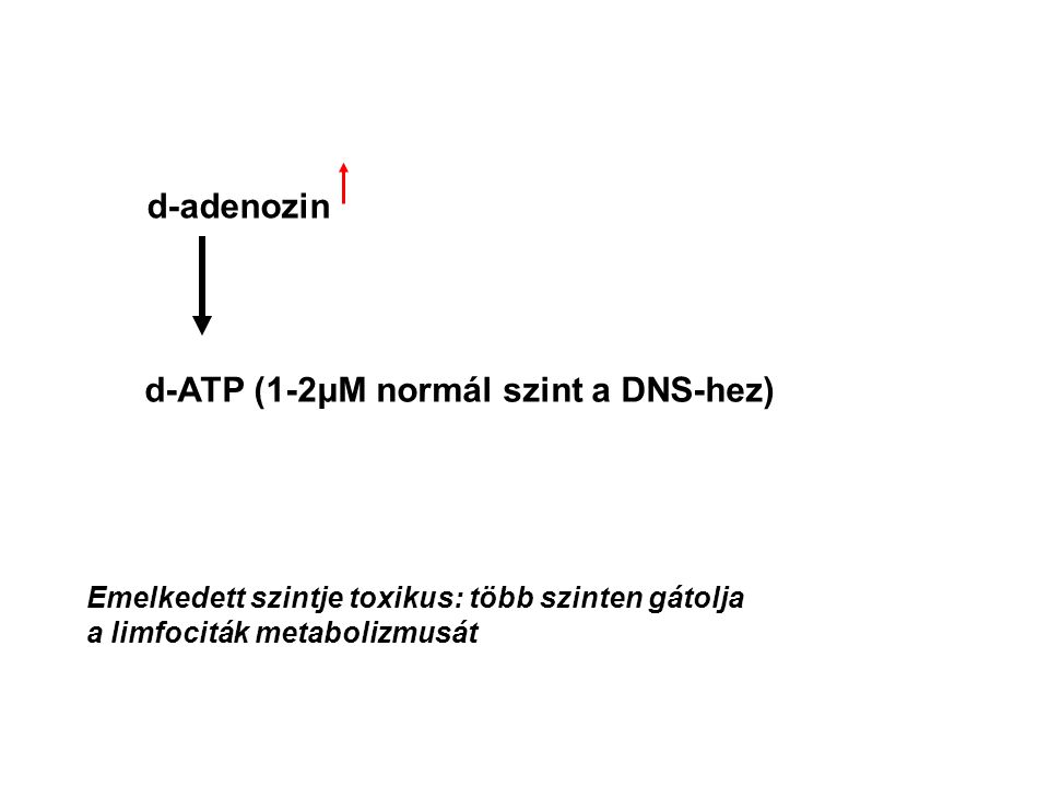 d-ATP (1-2μM normál szint a DNS-hez)