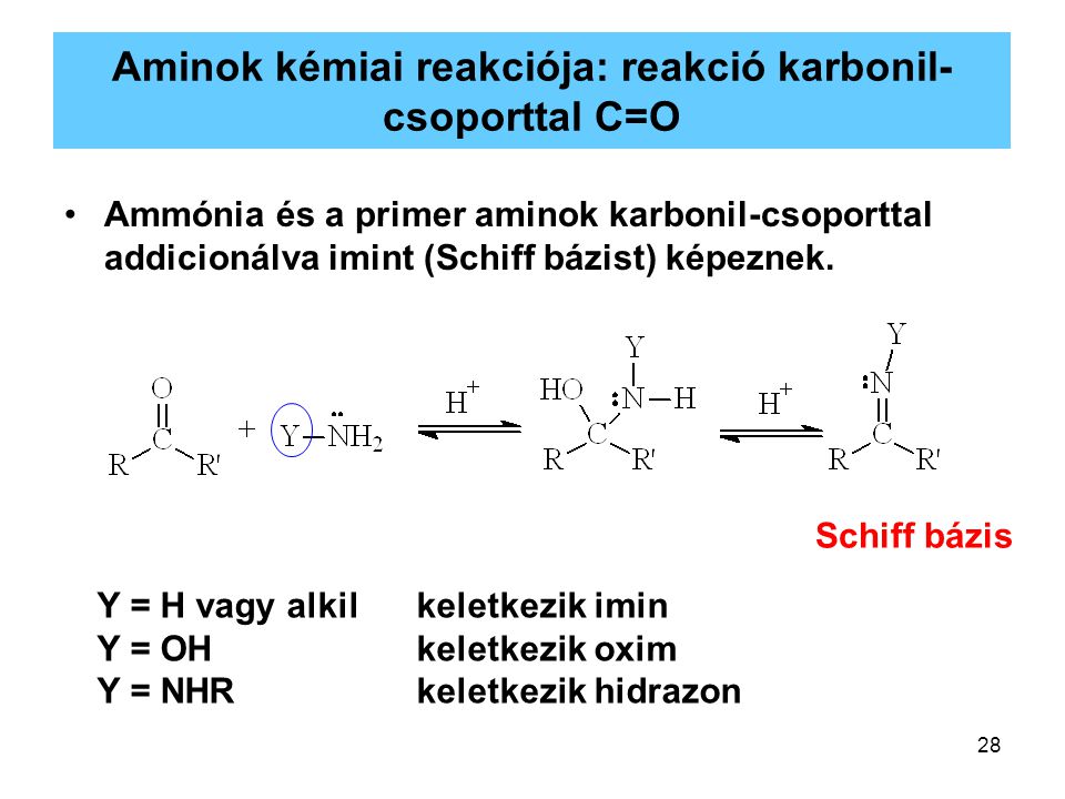 Aminok kémiai reakciója: reakció karbonil- csoporttal C=O