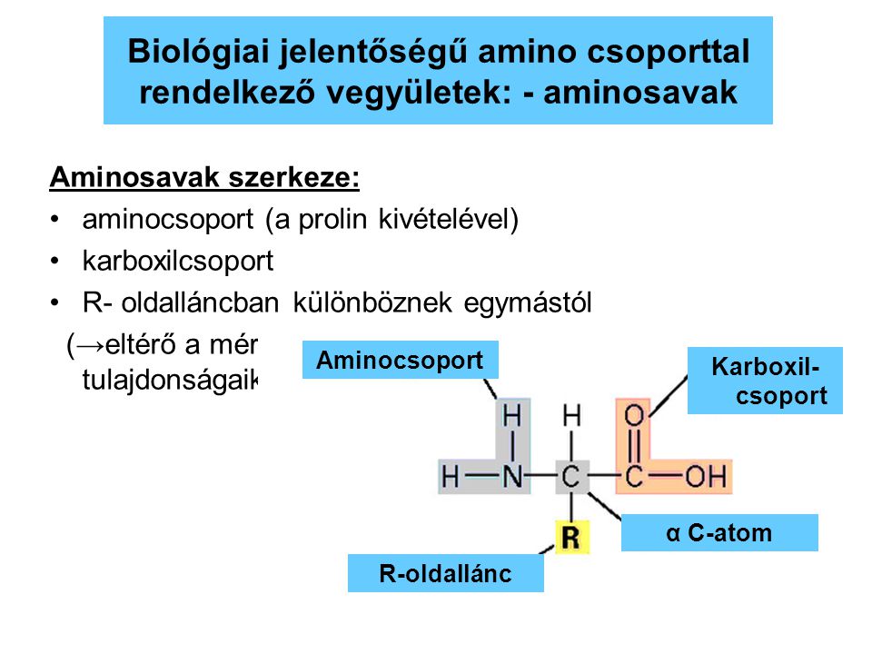 Biológiai jelentőségű amino csoporttal rendelkező vegyületek: - aminosavak