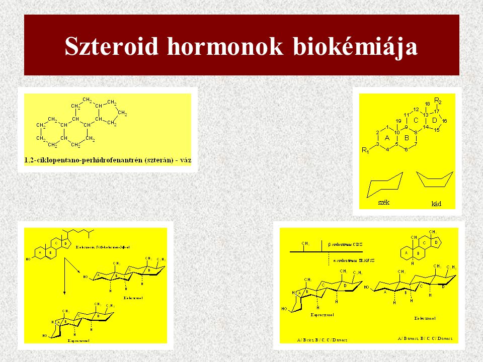 szteroid hormonok
