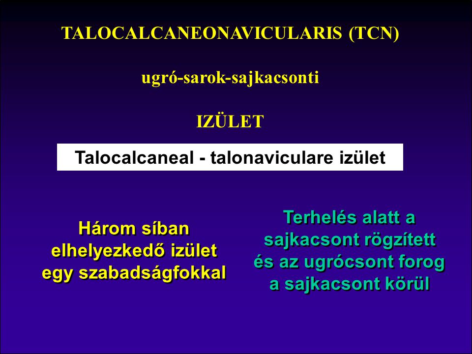 TALOCALCANEONAVICULARIS (TCN) ugró-sarok-sajkacsonti IZÜLET