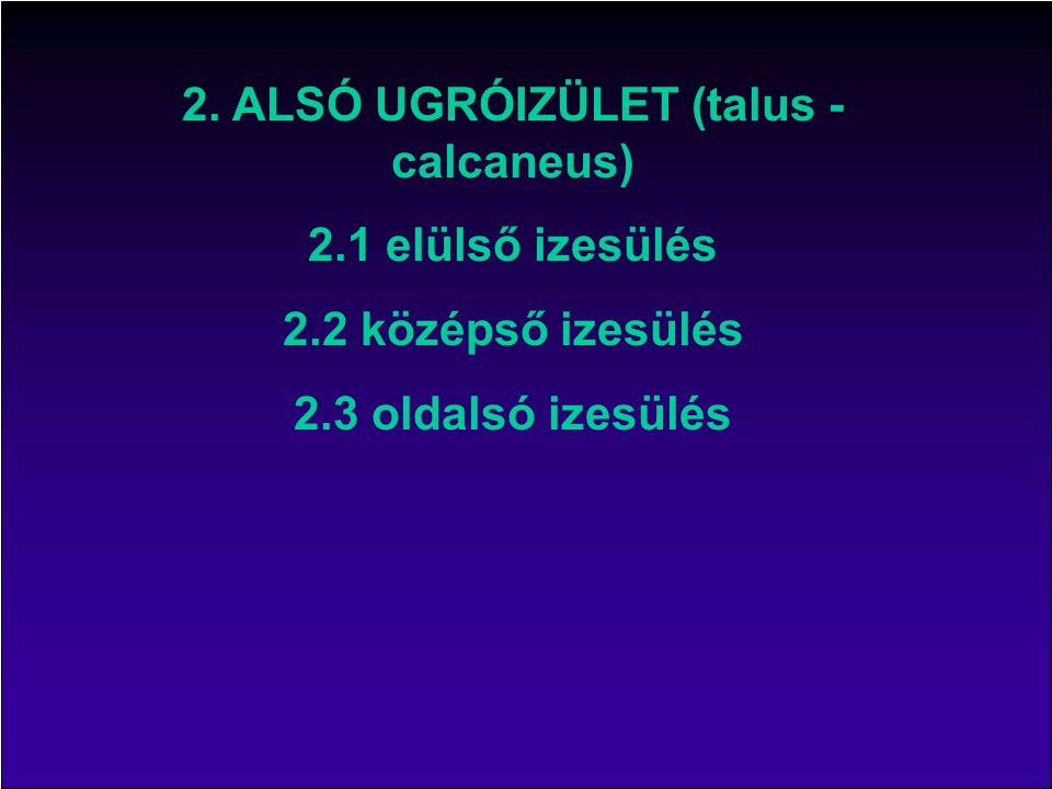 2. ALSÓ UGRÓIZÜLET (talus - calcaneus)