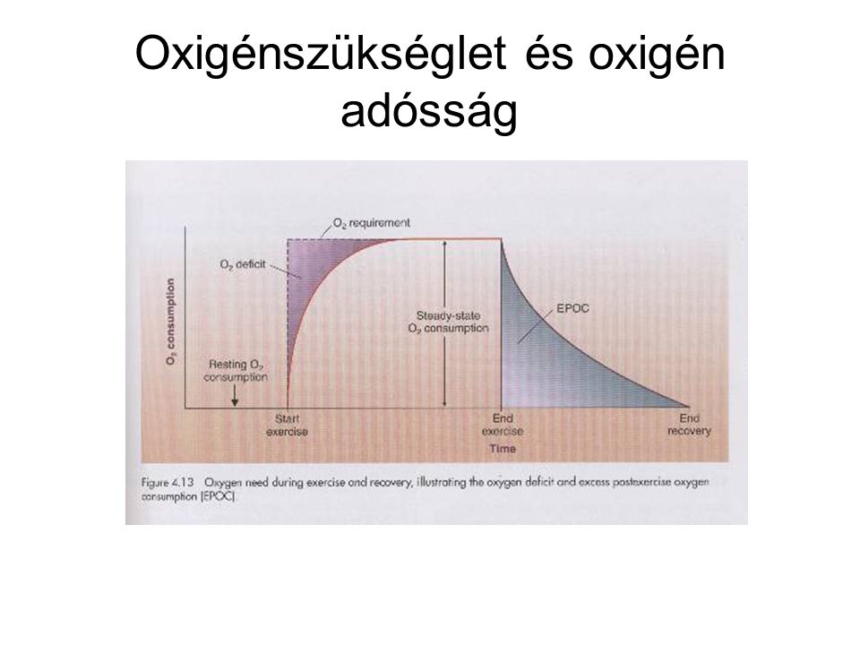 Oxigénszükséglet és oxigén adósság