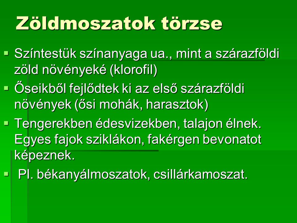 Zöldmoszatok törzse Színtestük színanyaga ua., mint a szárazföldi zöld növényeké (klorofil)