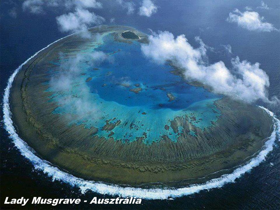 Lady Musgrave - Ausztrália