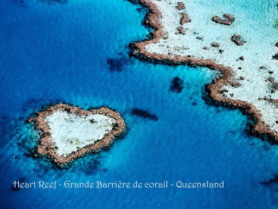 Heart Reef - Grande Barrière de corail - Queensland