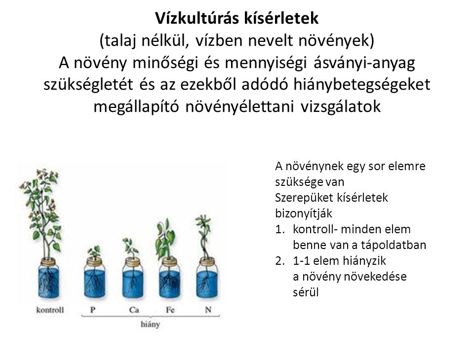 Vízkultúrás kísérletek (talaj nélkül, vízben nevelt növények) A növény minőségi és mennyiségi ásványi-anyag szükségletét és az ezekből adódó hiánybetegségeket megállapító növényélettani vizsgálatok
