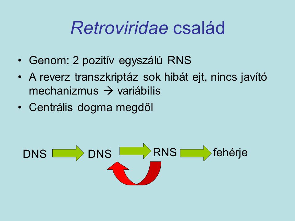 Retroviridae család Genom: 2 pozitív egyszálú RNS