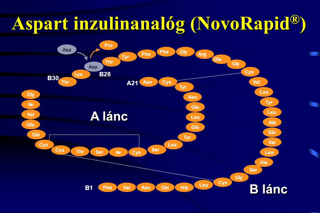Aspart inzulinanalóg (NovoRapid®)