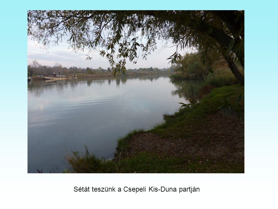 Sétát teszünk a Csepeli Kis-Duna partján