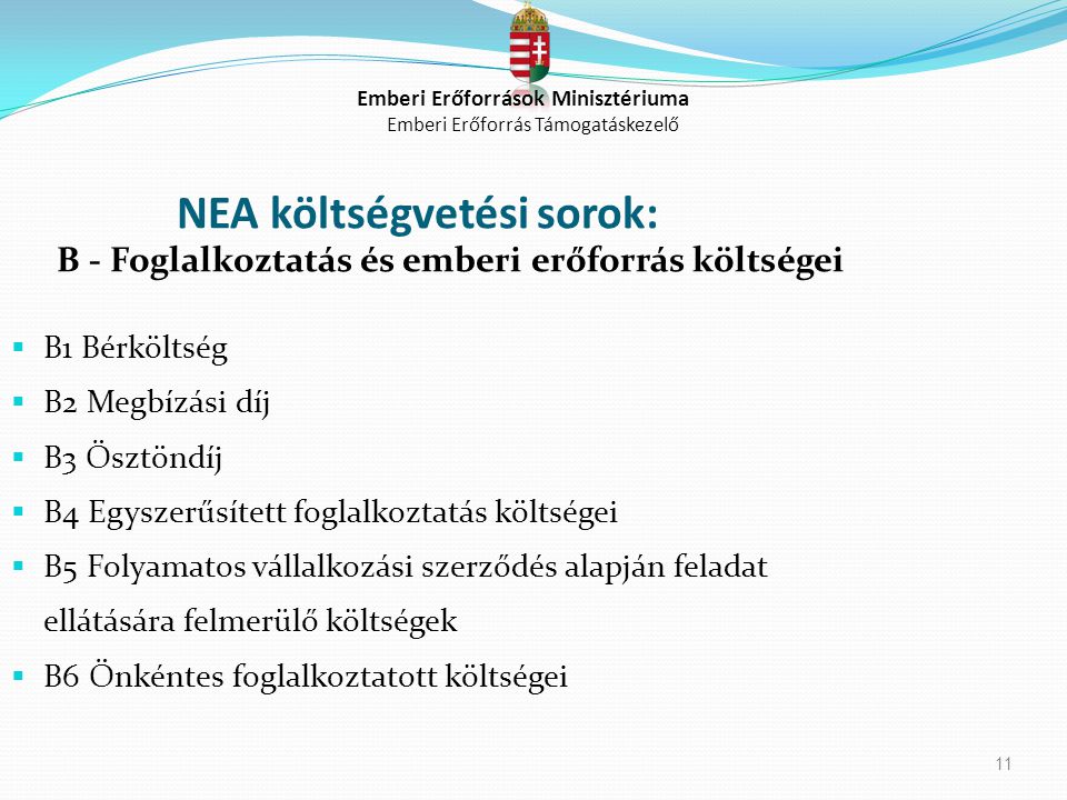 NEA költségvetési sorok: