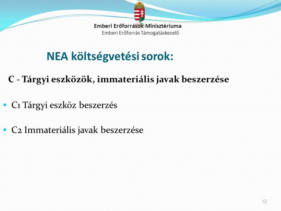NEA költségvetési sorok: