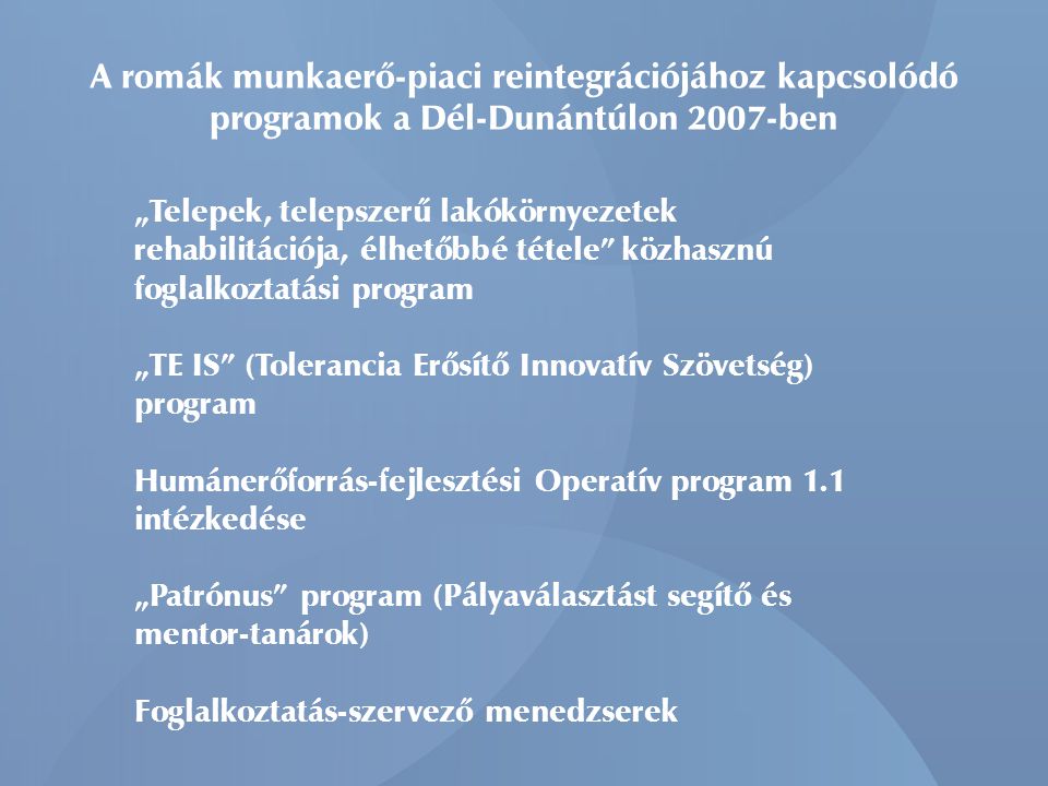 A romák munkaerő-piaci reintegrációjához kapcsolódó programok a Dél-Dunántúlon 2007-ben