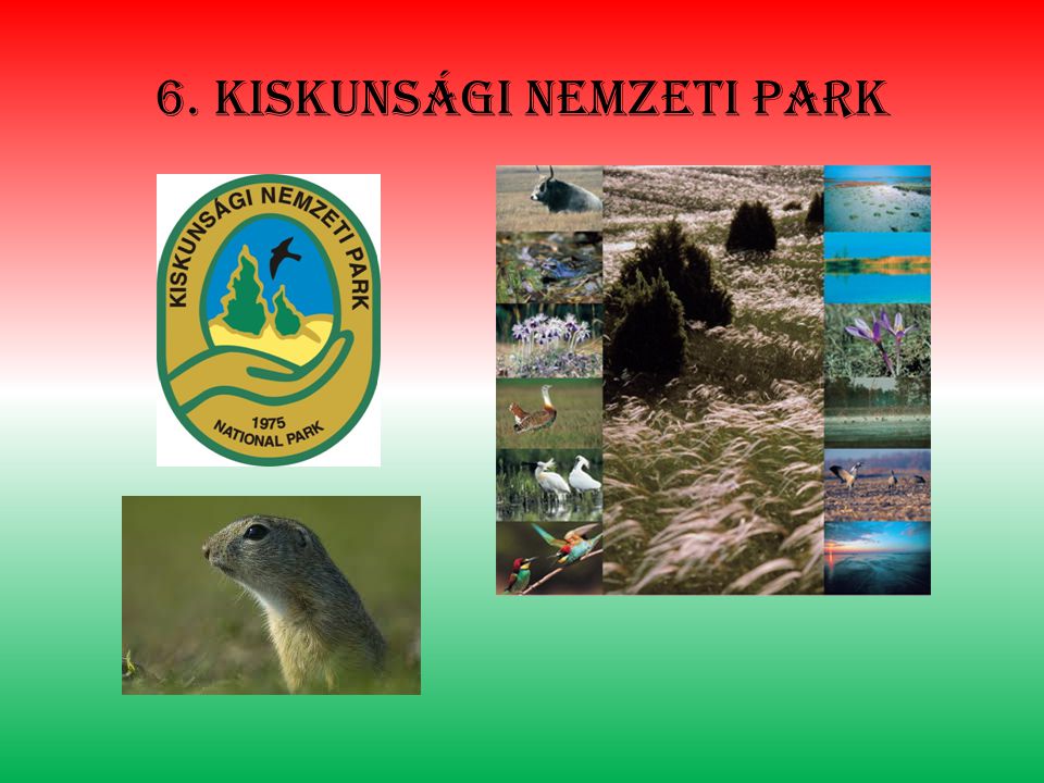 6. Kiskunsági nemzeti park