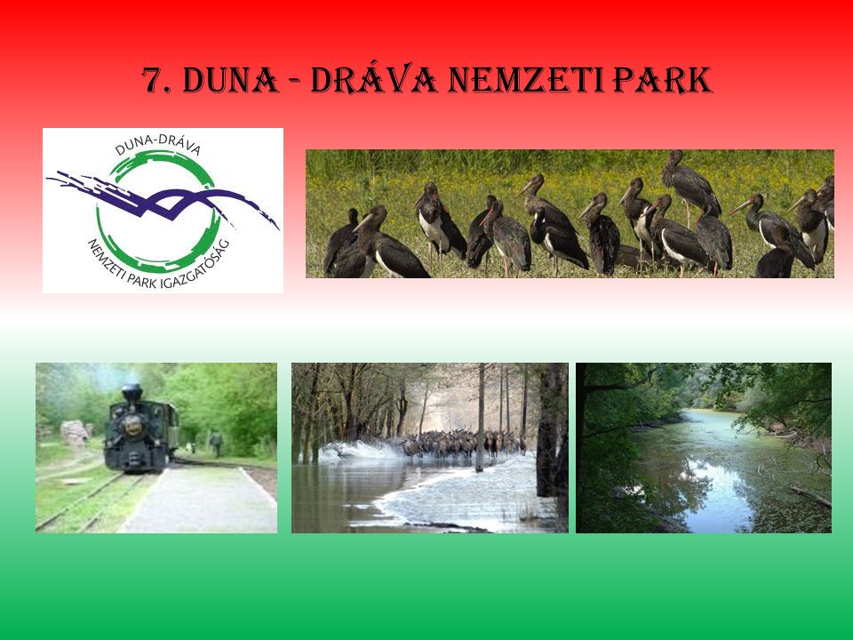 7. Duna - dráva nemzeti park
