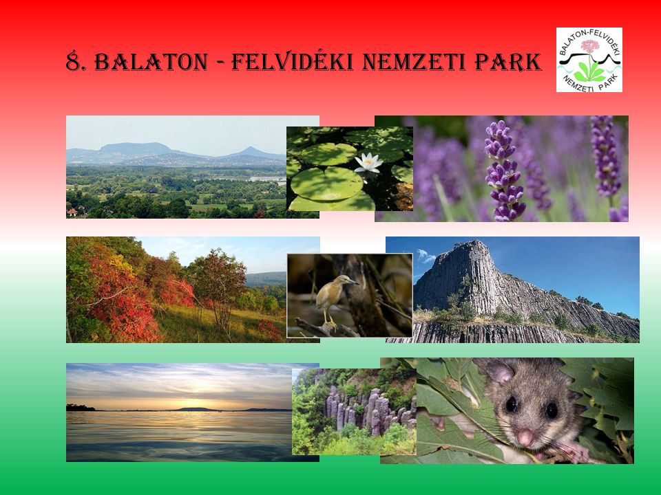 8. Balaton - felvidéki nemzeti park