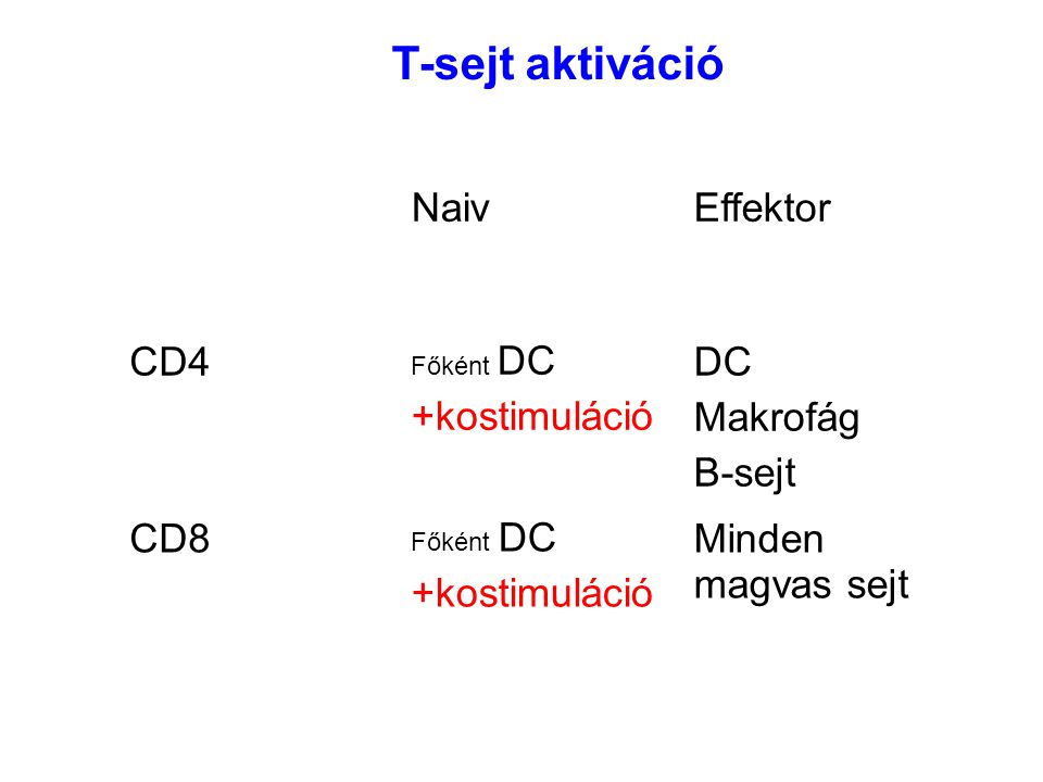 T-sejt aktiváció Naiv Effektor CD4 +kostimuláció DC Makrofág B-sejt