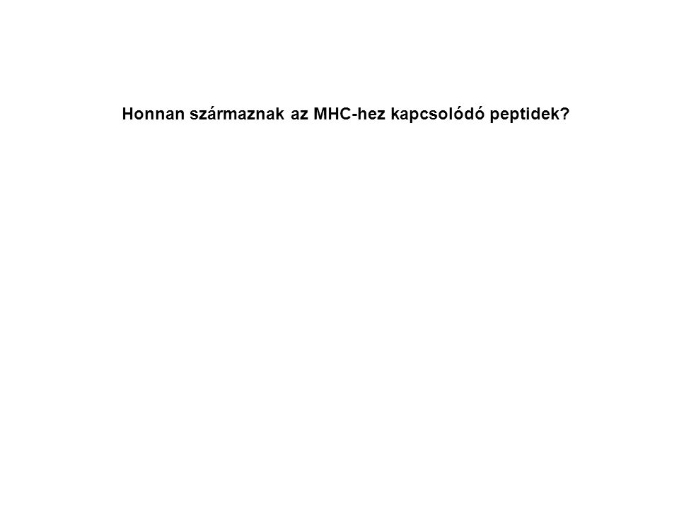 Honnan származnak az MHC-hez kapcsolódó peptidek