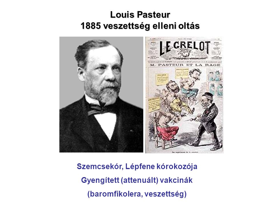 Louis Pasteur 1885 veszettség elleni oltás