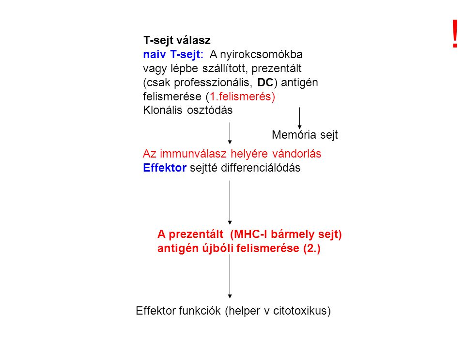 ! T-sejt válasz. naiv T-sejt: A nyirokcsomókba vagy lépbe szállított, prezentált (csak professzionális, DC) antigén felismerése (1.felismerés)
