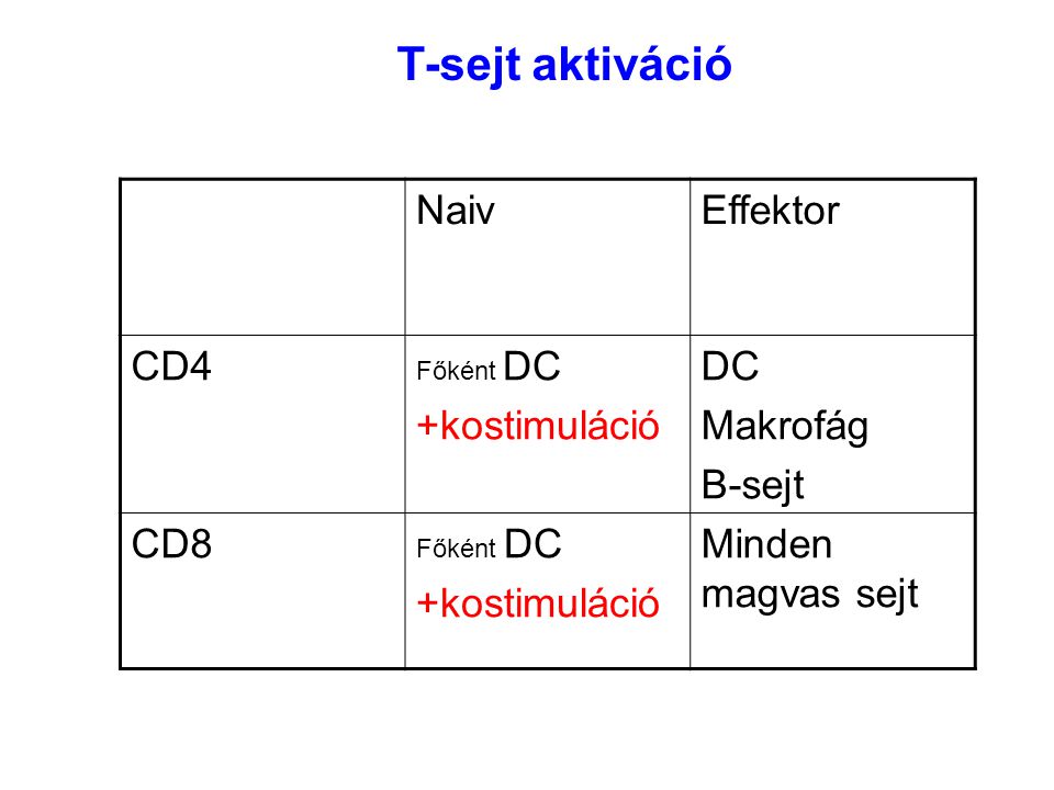 T-sejt aktiváció Naiv Effektor CD4 +kostimuláció DC Makrofág B-sejt
