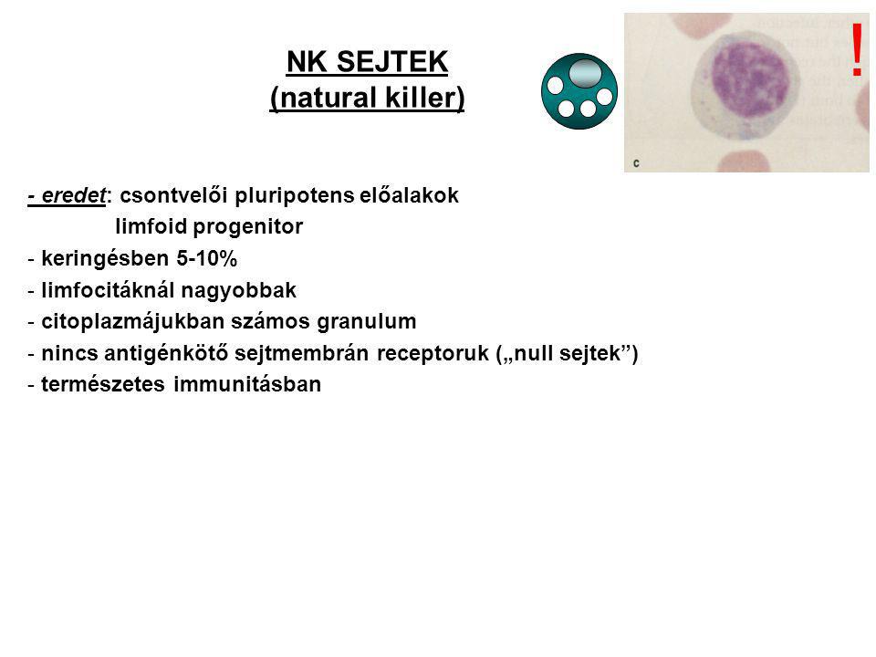 ! NK SEJTEK (natural killer)
